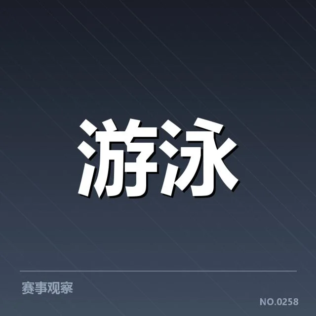 新星选手名单与赛事成绩汇总